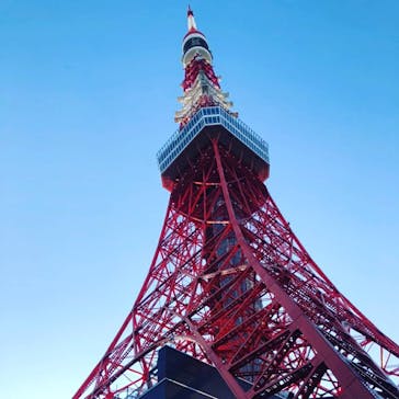 東京タワーに投稿された画像（2020/10/31）