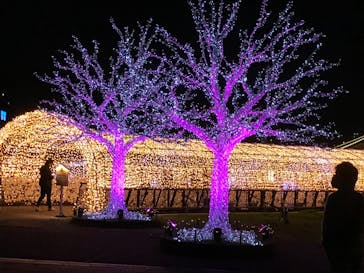 東京メガイルミに投稿された画像（2020/10/31）