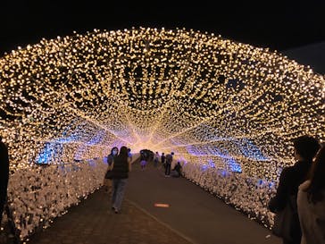 東京メガイルミに投稿された画像（2020/10/31）