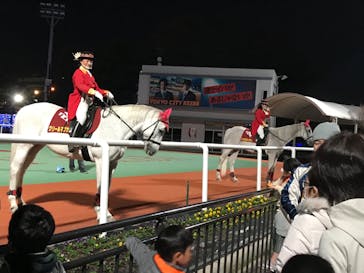 東京メガイルミに投稿された画像（2020/10/31）