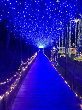 美らヤシパークオキナワ・東南植物楽園に投稿された画像（2020/10/31）