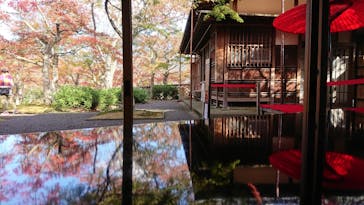 箱根美術館に投稿された画像（2020/10/31）