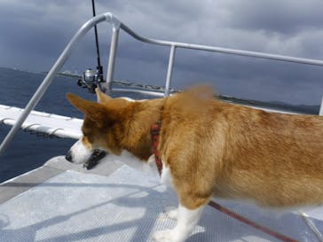 マリンショップtaitaiに投稿された画像（2020/10/31）