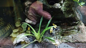 サンシャイン水族館に投稿された画像（2020/10/31）