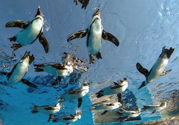 サンシャイン水族館に投稿された画像（2020/10/31）