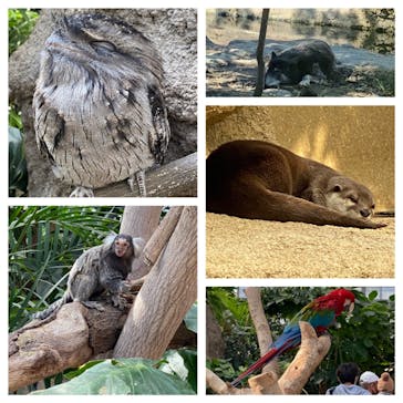 神戸どうぶつ王国に投稿された画像（2020/11/1）