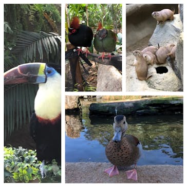 神戸どうぶつ王国に投稿された画像（2020/11/1）