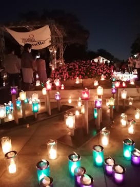 江の島シーキャンドルに投稿された画像（2020/10/31）