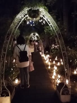 江の島シーキャンドルに投稿された画像（2020/10/31）