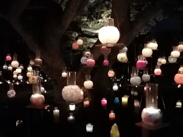 江の島シーキャンドルに投稿された画像（2020/10/31）