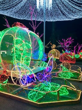 美らヤシパークオキナワ・東南植物楽園に投稿された画像（2020/11/1）