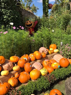 ひらかたパークに投稿された画像（2020/11/1）