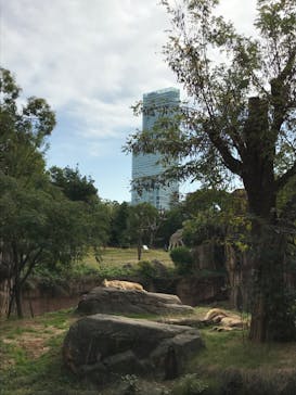 天王寺動物園に投稿された画像（2020/11/1）