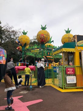 日本モンキーパークに投稿された画像（2020/11/1）