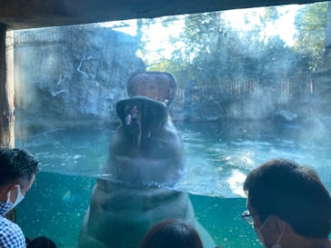 天王寺動物園に投稿された画像（2020/11/1）