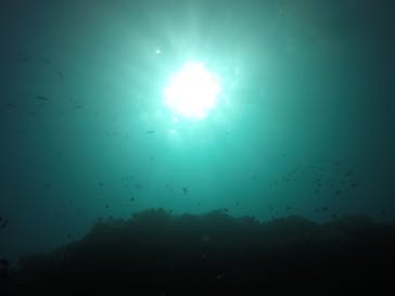 ダイブロックに投稿された画像（2020/11/1）