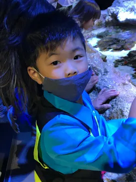 すみだ水族館に投稿された画像（2020/11/1）