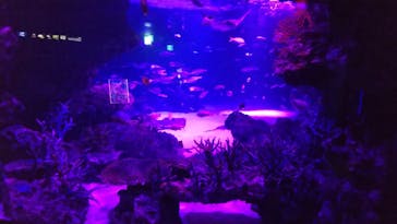 サンシャイン水族館に投稿された画像（2020/11/1）