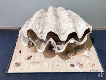 横浜・八景島シーパラダイスに投稿された画像（2020/11/1）