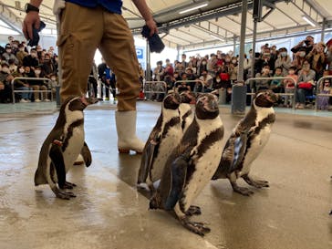 鳥羽水族館に投稿された画像（2020/11/1）