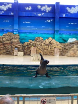鳥羽水族館に投稿された画像（2020/11/1）