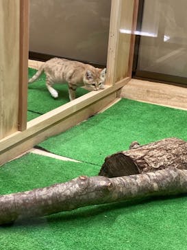 那須どうぶつ王国に投稿された画像（2020/11/1）