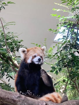 那須どうぶつ王国に投稿された画像（2020/11/1）