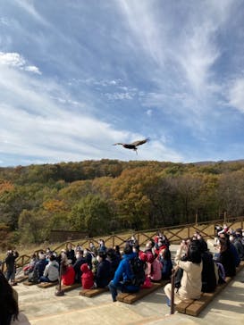 那須どうぶつ王国に投稿された画像（2020/11/1）