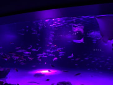 サンシャイン水族館に投稿された画像（2020/11/1）