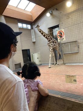天王寺動物園に投稿された画像（2020/11/1）