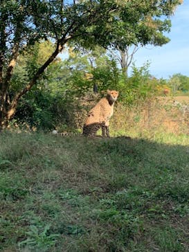 よこはま動物園ズーラシアに投稿された画像（2020/11/1）