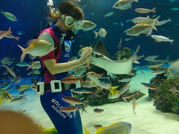 サンシャイン水族館に投稿された画像（2020/11/1）