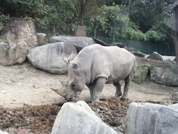 群馬サファリパークに投稿された画像（2020/11/1）