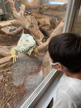 沖縄こどもの国に投稿された画像（2020/11/1）