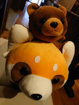 天王寺動物園に投稿された画像（2020/11/1）