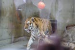 天王寺動物園に投稿された画像（2020/11/1）