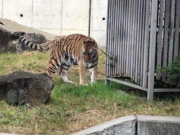 天王寺動物園に投稿された画像（2020/11/1）