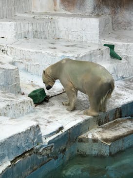 天王寺動物園に投稿された画像（2020/11/1）