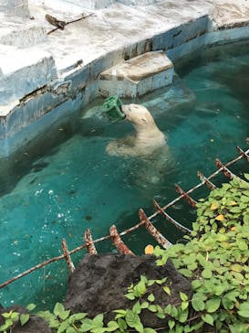 天王寺動物園に投稿された画像（2020/11/1）