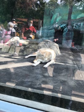 天王寺動物園に投稿された画像（2020/11/1）