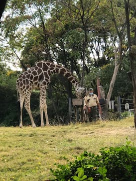 天王寺動物園に投稿された画像（2020/11/1）