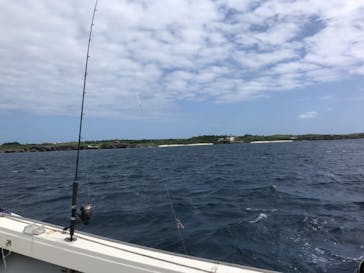 釣り船　博栄丸に投稿された画像（2020/11/1）