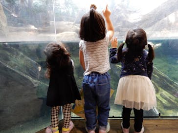 天王寺動物園に投稿された画像（2020/11/1）