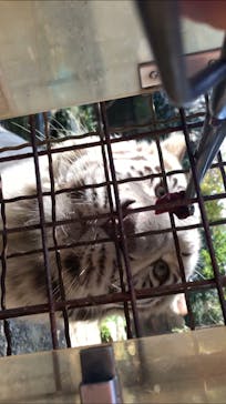 群馬サファリパークに投稿された画像（2020/11/1）