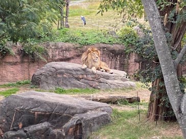 天王寺動物園に投稿された画像（2020/11/1）