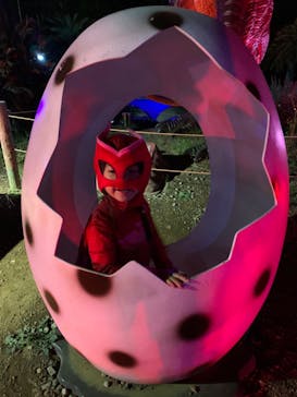 伊豆ぐらんぱる公園に投稿された画像（2020/11/1）