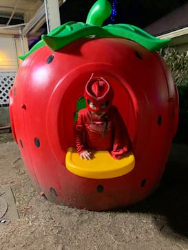 伊豆ぐらんぱる公園に投稿された画像（2020/11/1）