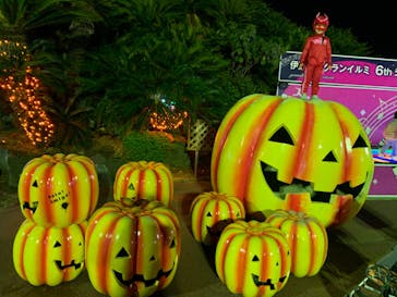 伊豆ぐらんぱる公園に投稿された画像（2020/11/1）