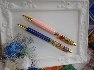 ずこうしつ〜sugamo〜に投稿された画像（2020/11/1）