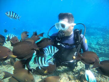 青の洞窟専門店　沖縄ダイビングショップ和に投稿された画像（2020/11/1）